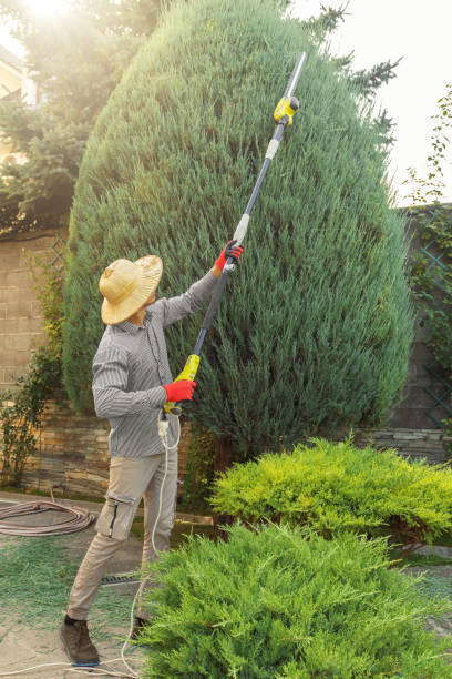 Best Fruit Tree Pruning  in Rumson, NJ